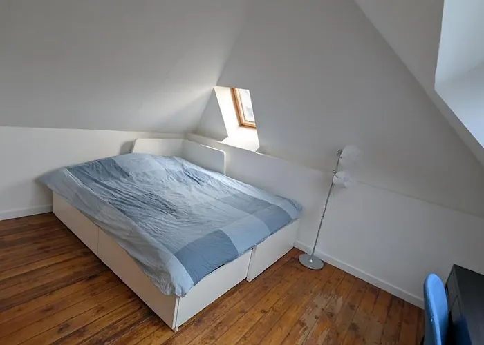 Maison Au Jardin Des Plantes Rouen